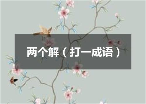两个解（打一成语）