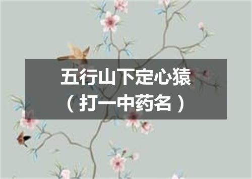 五行山下定心猿（打一中药名）