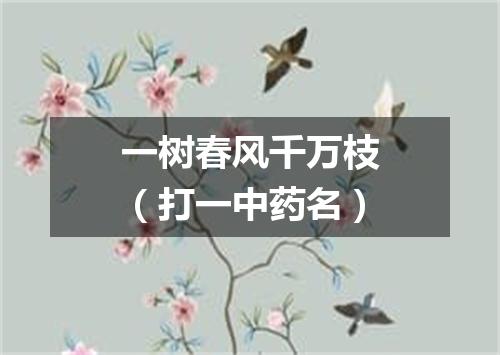 一树春风千万枝（打一中药名）