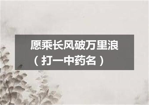 愿乘长风破万里浪（打一中药名）