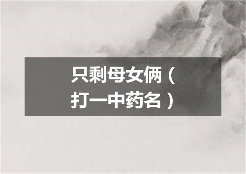 只剩母女俩（打一中药名）