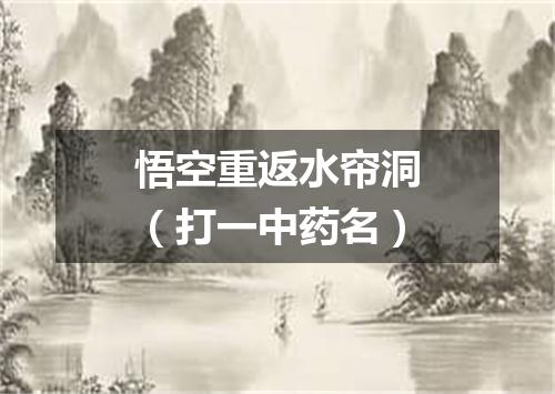 悟空重返水帘洞（打一中药名）