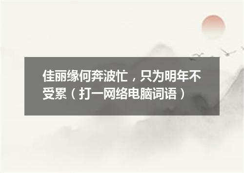 佳丽缘何奔波忙，只为明年不受累（打一网络电脑词语）