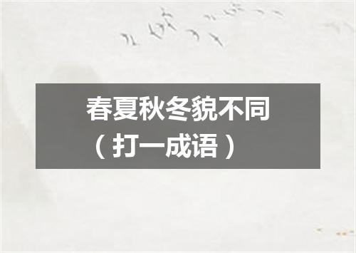 春夏秋冬貌不同（打一成语）