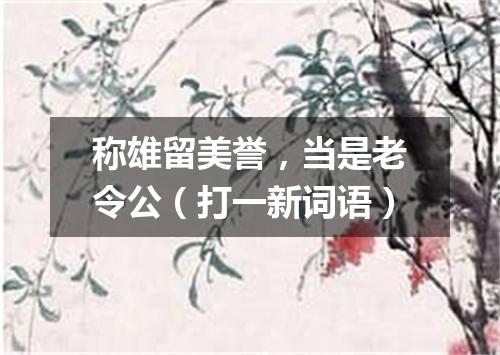 称雄留美誉，当是老令公（打一新词语）