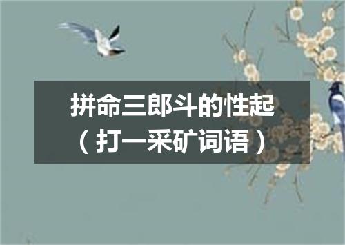 拼命三郎斗的性起（打一采矿词语）