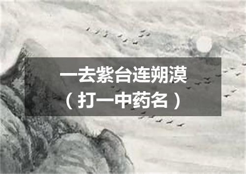一去紫台连朔漠（打一中药名）