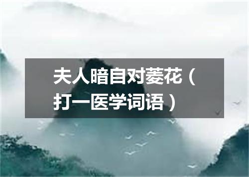 夫人暗自对菱花（打一医学词语）