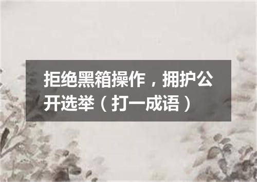 拒绝黑箱操作，拥护公开选举（打一成语）