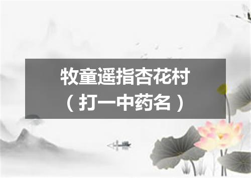 牧童遥指杏花村（打一中药名）