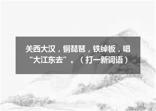 关西大汉，铜琵琶，铁绰板，唱“大江东去”。（打一新词语）