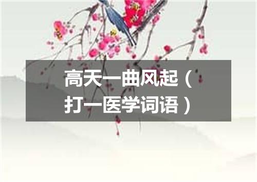 高天一曲风起（打一医学词语）