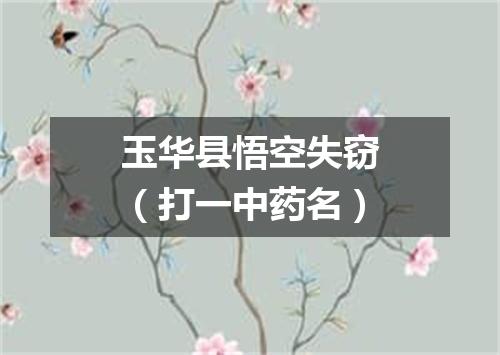 玉华县悟空失窃（打一中药名）
