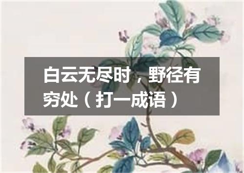 白云无尽时，野径有穷处（打一成语）