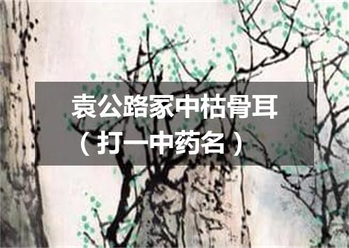 袁公路冢中枯骨耳（打一中药名）