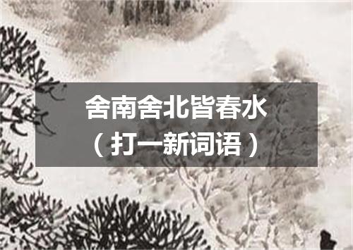 舍南舍北皆春水（打一新词语）