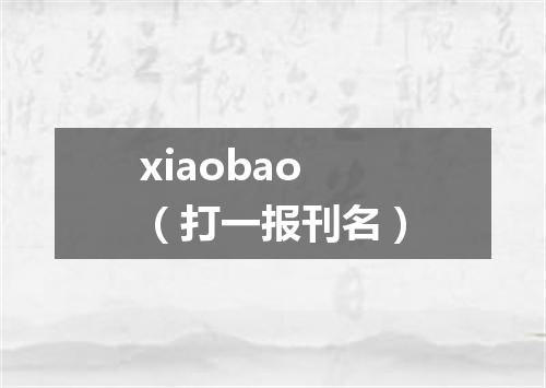 xiaobao（打一报刊名）