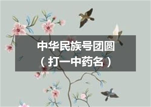 中华民族号团圆（打一中药名）