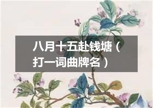 八月十五赴钱塘（打一词曲牌名）