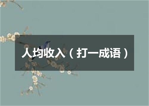 人均收入（打一成语）