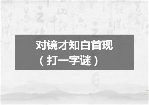 对镜才知白首现（打一字谜）