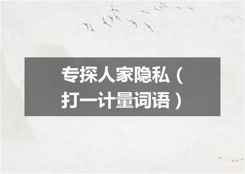 专探人家隐私（打一计量词语）