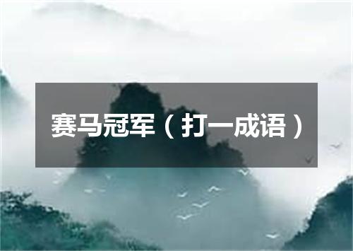 赛马冠军（打一成语）