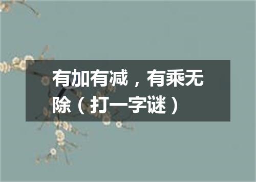 有加有减，有乘无除（打一字谜）