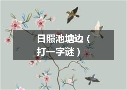 日照池塘边（打一字谜）