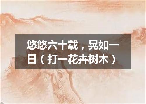 悠悠六十载，晃如一日（打一花卉树木）