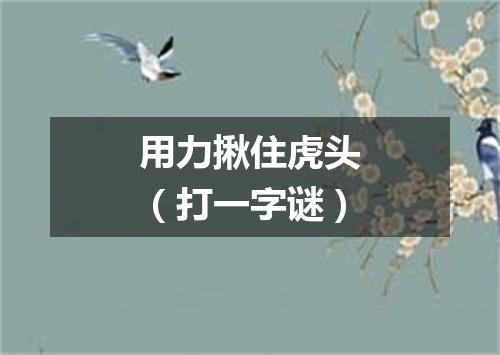 用力揪住虎头（打一字谜）