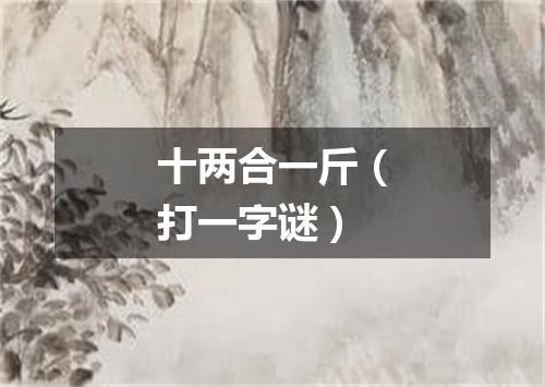 十两合一斤（打一字谜）
