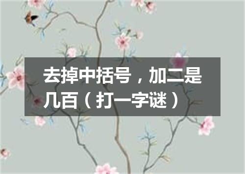 去掉中括号，加二是几百（打一字谜）