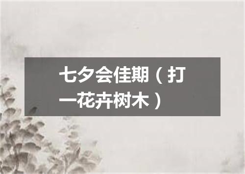 七夕会佳期（打一花卉树木）