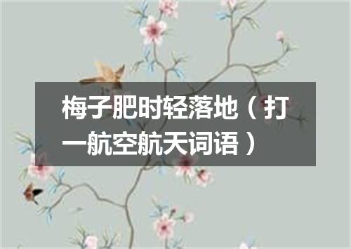 梅子肥时轻落地（打一航空航天词语）