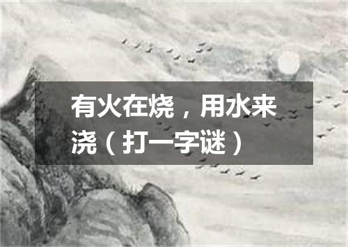 有火在烧，用水来浇（打一字谜）