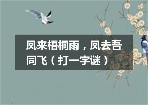凤来梧桐雨，凤去吾同飞（打一字谜）