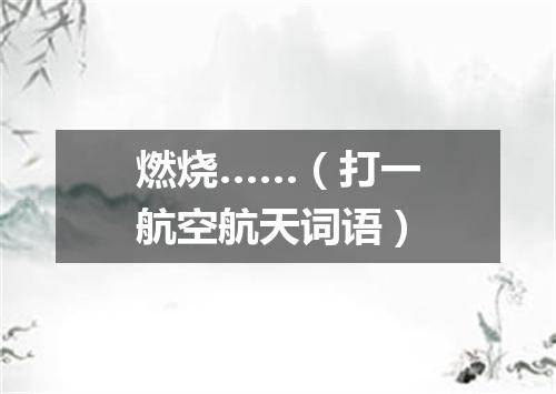 燃烧……（打一航空航天词语）