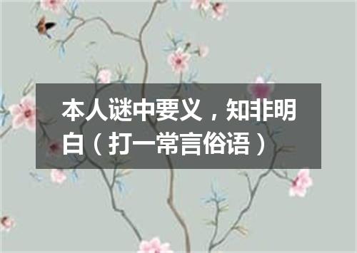 本人谜中要义，知非明白（打一常言俗语）