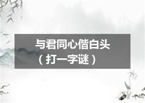 与君同心偕白头（打一字谜）