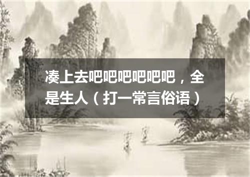 凑上去吧吧吧吧吧吧，全是生人（打一常言俗语）