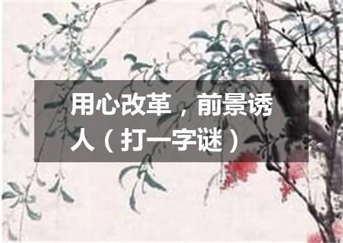 用心改革，前景诱人（打一字谜）