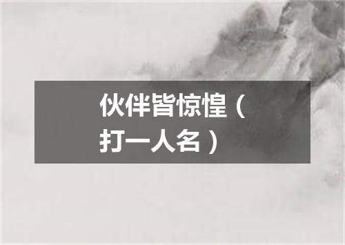 伙伴皆惊惶（打一人名）