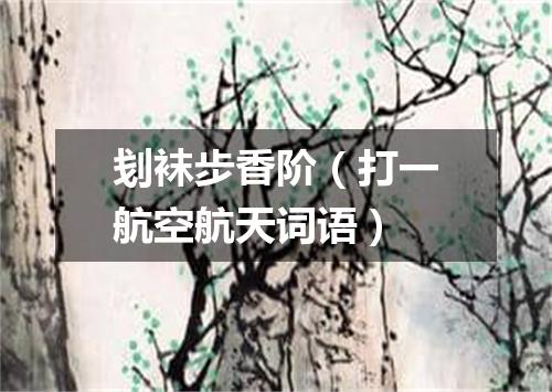 刬袜步香阶（打一航空航天词语）