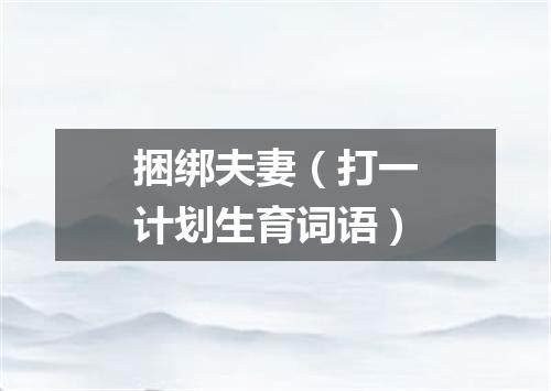 捆绑夫妻（打一计划生育词语）