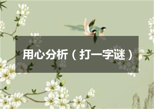 用心分析（打一字谜）