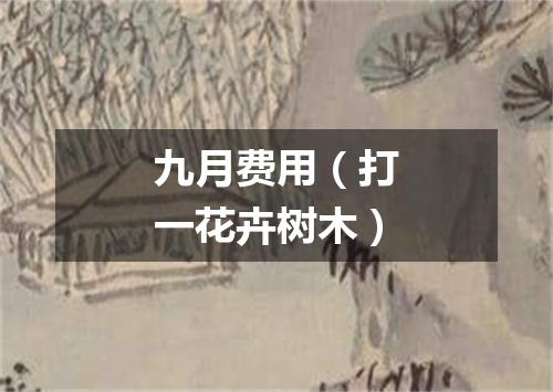 九月费用（打一花卉树木）