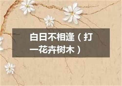 白日不相逢（打一花卉树木）