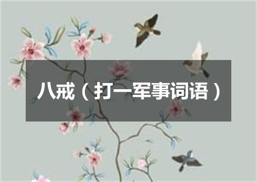 八戒（打一军事词语）