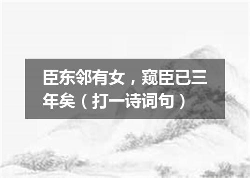 臣东邻有女，窥臣已三年矣（打一诗词句）